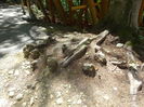 DSC09184