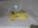 DSC09198