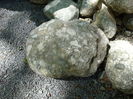 DSC09203