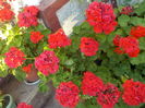 DSCN0861[1]