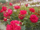 DSCN0839[1]
