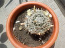 DSCN0854[1]