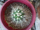 DSCN0863[1]
