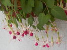 DSCN0844[1]