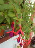 DSCN0856[1]