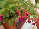 DSCN0855[1]