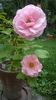 WP_20160720_088