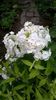 WP_20160720_055