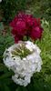 WP_20160720_064
