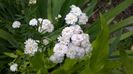 WP_20160720_073