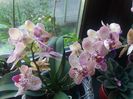 20160722_073718