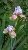 WP_20160721_023
