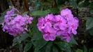 WP_20160721_013