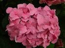 DSCN2063