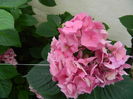 DSCN2066