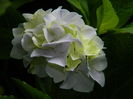 DSCN2078