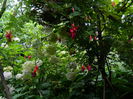 DSCN2260