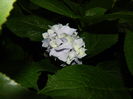 DSCN2277
