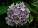 DSCN2325