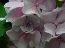 DSCN2326