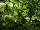 DSCN3157