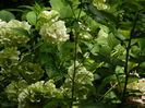 DSCN3158
