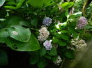 DSCN3185