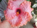 DSCN1079