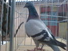 DSC01666
