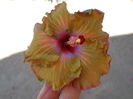 DSC04849