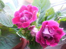 DSCN1086