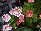 DSCN0873[1]