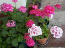 DSCN0877[1]