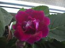 WIN_20160722_183502