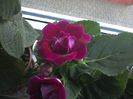 WIN_20160722_183416