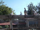 DSCN2893