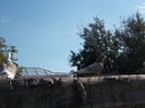 DSCN2895