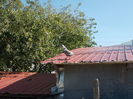DSCN2898