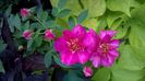 WP_20160721_087