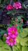 WP_20160721_088