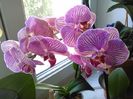 IMG_20160722_170854