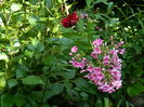 DSCN2826