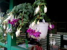 IMG_20160620_192449