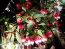 IMG_20160620_145735