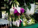 IMG_20160605_165442