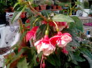 IMG_20160605_165319
