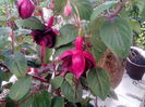 IMG_20160605_165231