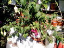 IMG_20160605_101653