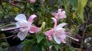 WP_20160721_17_07_17_Pro