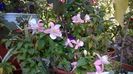 WP_20160723_10_44_50_Pro